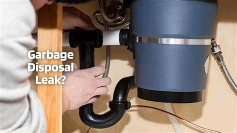 garbage disposal leaking from bottom|Garbage Disposal Leaking From Bottom 